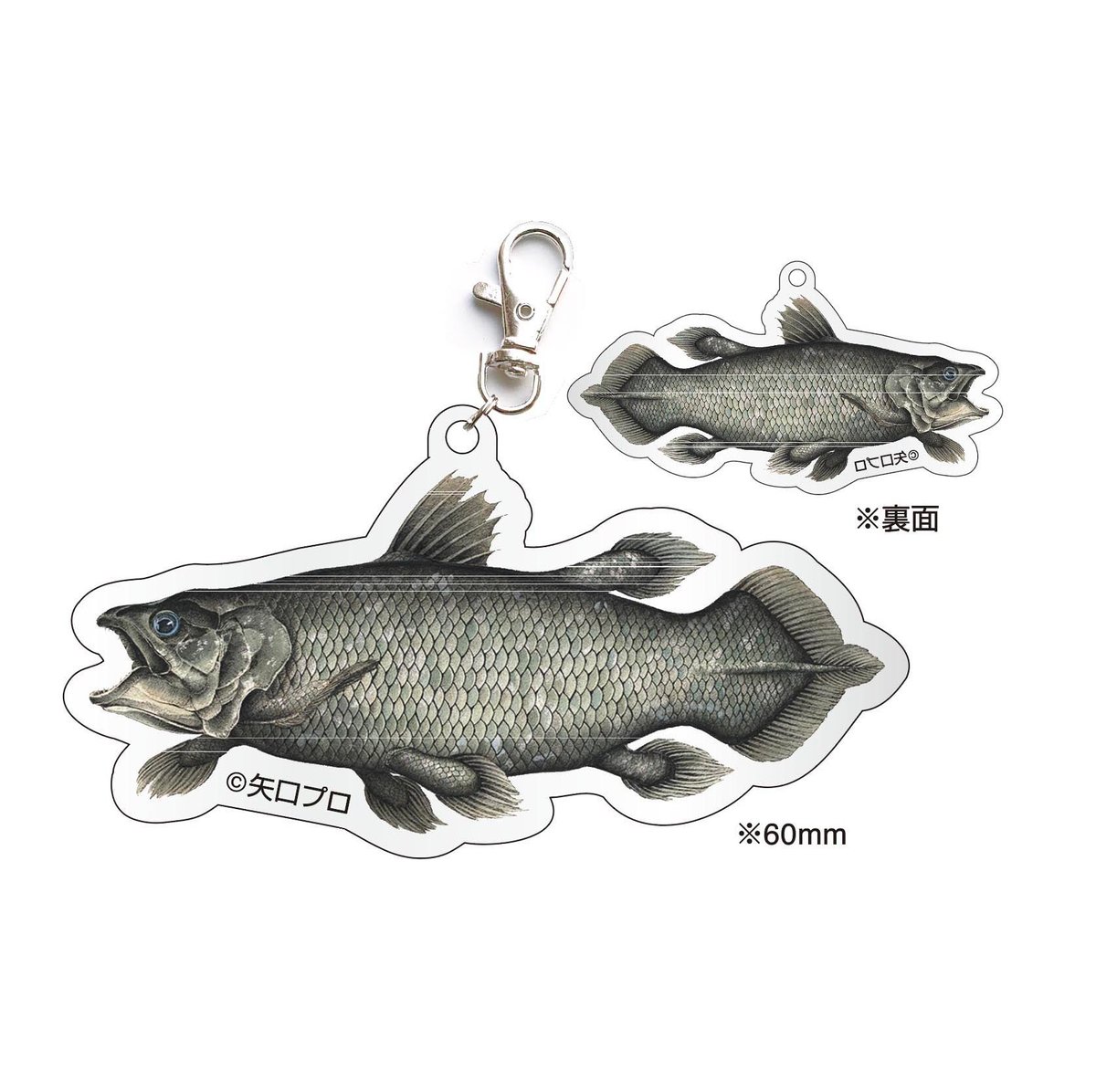 シーラカンス fit=scale-down,w=1200