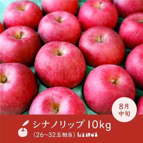 【予約販売】長野県産りんご「シナノリップ」10kg（26〜32玉相当）