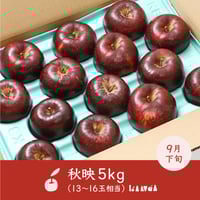 【予約販売】長野県産りんご「秋映」5kg（13〜16玉相当）