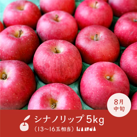 【予約販売】長野県産りんご「シナノリップ」5kg（13〜16玉相当）