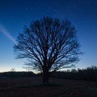 Waiting for the Sunrise/ソロウクレレ譜面