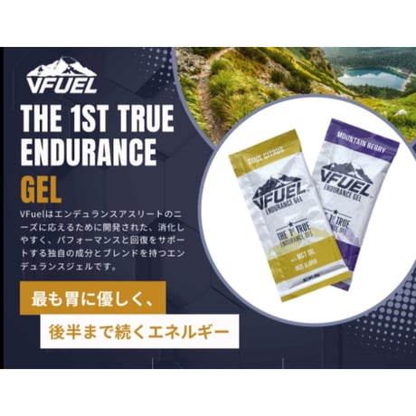 VFUEL Endurance Gel/ブイフューエル エンデュランス ゲル