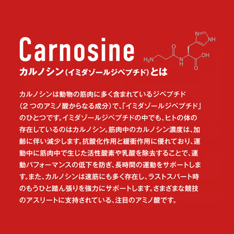 CARNO POWER ENERGY RAMUNE Flavor/カルノパワーエナジー ラムネフレーバー(1p)