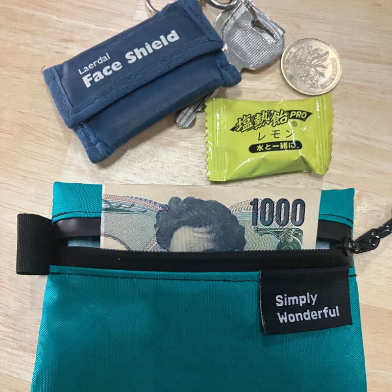 SALEワンダフルワールド　希少品ピコフリル　ポーチ/バニティバッグ SALEワンダフルワールド 希少品ピコフリル ポーチ/バニティ