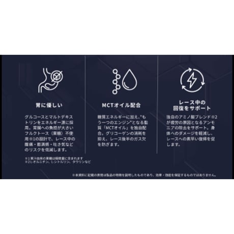 VFUEL Endurance Gel/ブイフューエル エンデュランス ゲル