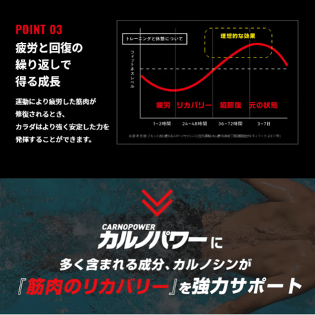 CARNO POWER ENERGY RAMUNE Flavor/カルノパワーエナジー ラムネフレーバー(1p)