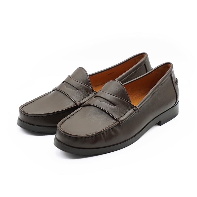 エイミーブラウン銀貨1 外国コイン | オンラインショップ | 泰星コイン株式会社