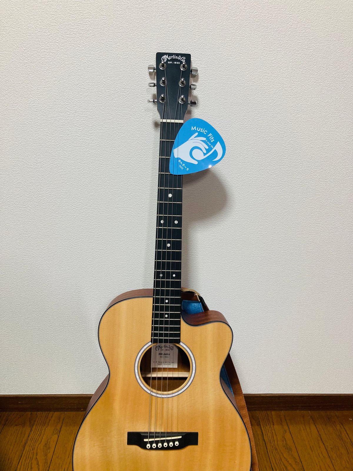 2022Brian May Another WorldSixpencギターピック 2022Brian May