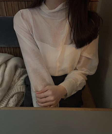 sheer blouse
