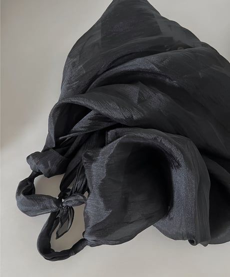 bundle seethrough bag