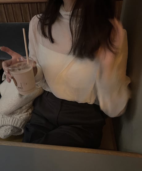 sheer blouse