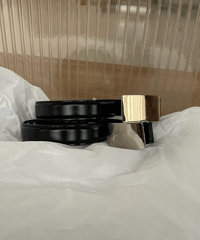 lemaire belt