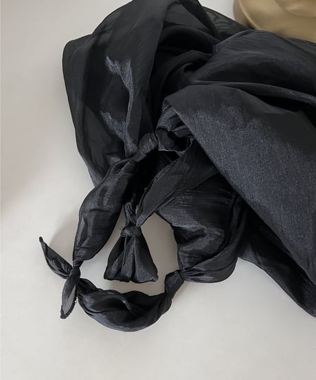 bundle seethrough bag