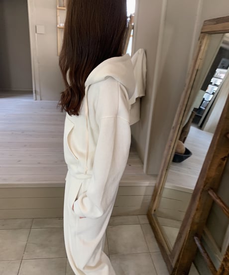 alps hood zipup