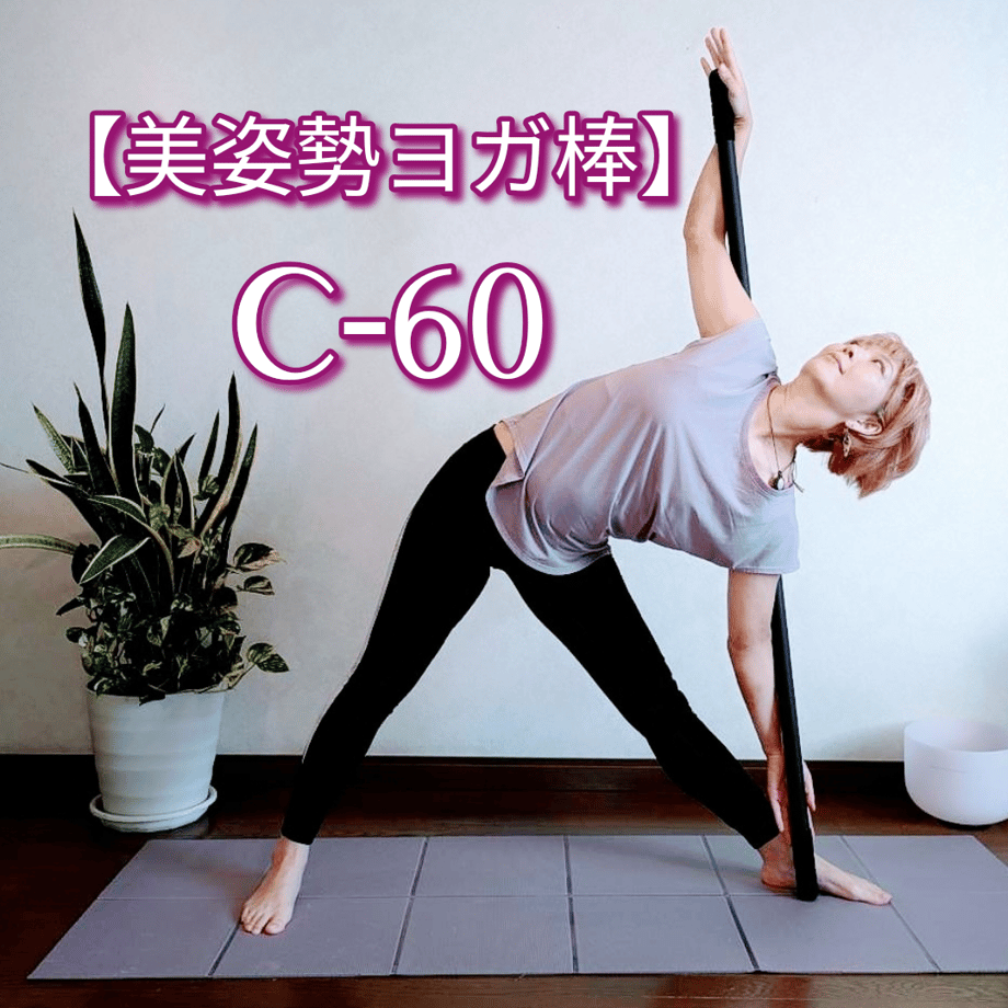 67c104898ea9bd22dd7cac0f