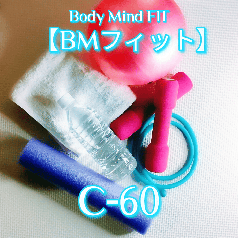 67c10955956c0c0794a6cb91
