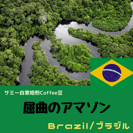 自家焙煎コーヒー豆【ブラジル】屈曲のアマゾン