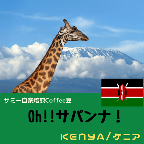自家焙煎コーヒー豆【ケニア】Oh!サバンナ！