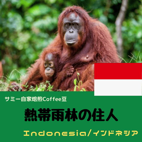 自家焙煎コーヒー豆【マンデリン（インドネシア）】熱帯雨林の住人