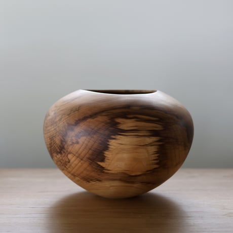 CATEGORY 盛永省治 / Shoji Morinaga | Dhal/Dhal Home
