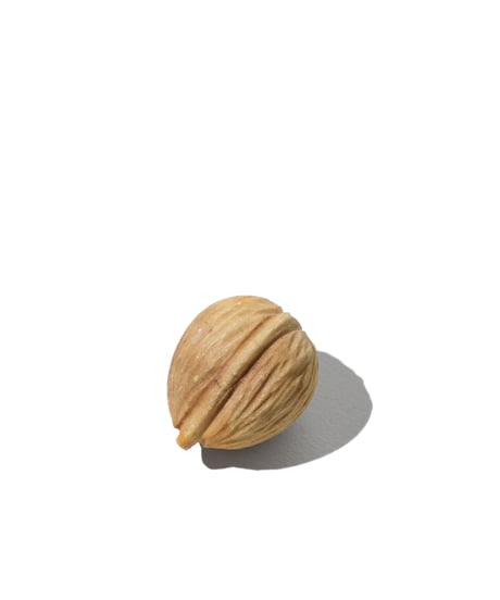Stone Object / Walnut
