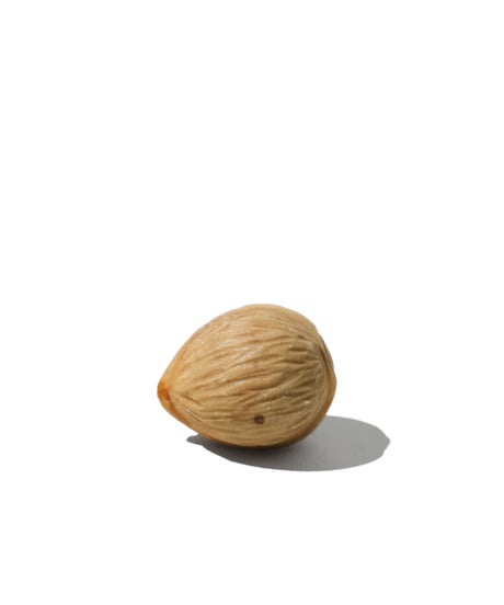 Stone Object / Walnut