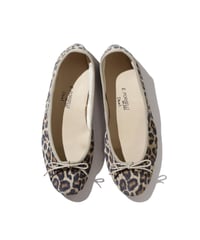 Porselli / LEOPARD