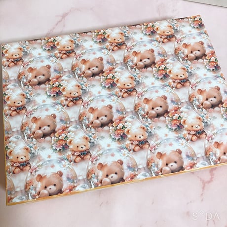 平袋ケース☆平袋10枚入