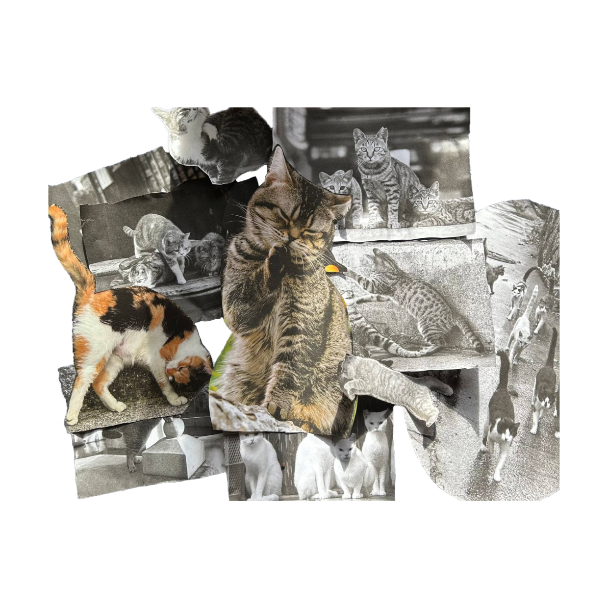 猫　絵画　イラスト　コラージュ original