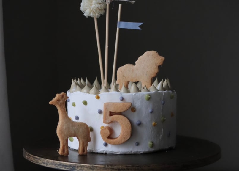 little adventure cake | TIMELESS BAGUE