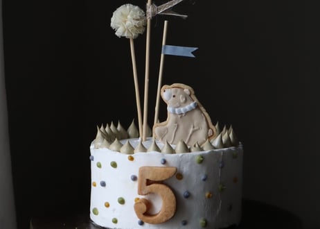 little adventure cake
