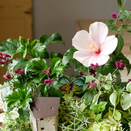 【FOUR SEASONSスクール】8/24(土)Green life Zoom webinars ワークショップ　無料視聴+花材セット