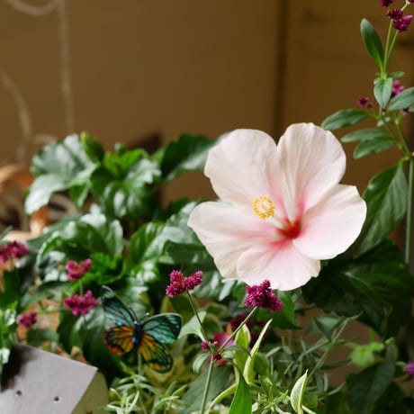 【FOUR SEASONSスクール】8/24(土)Green life Zoom webinars ワークショップ　無料視聴+花材セット