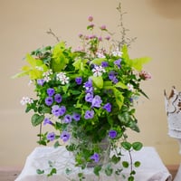 【FOUR SEASONSスクール】7/27(土)Green life Zoom webinars ワークショップ　無料視聴+花材セット
