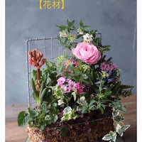 【FOUR SEASONSスクール】2/18(土)Green life Zoom webinars ワークショップ　無料視聴+花材セット