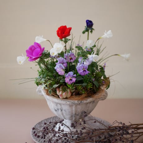 【FOUR SEASONSスクール】1/20(土)Green life Zoom webinars ワークショップ　無料視聴+花材セット