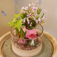 【FOUR SEASONSスクール】1/18(土)Green life Zoom webinars ワークショップ　無料視聴+花材セット