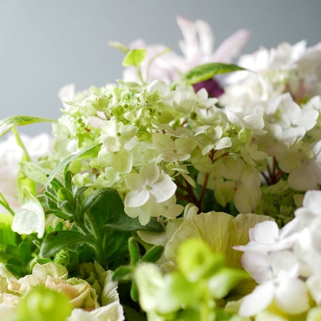 【FOUR SEASONSスクール】5/7(水)Green life Zoom webinars ワークショップ　無料視聴+花材セット