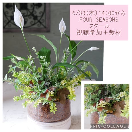 【FOUR SEASONSスクール】6/30(木)Green life Zoom webinars ワークショップ　視聴参加＋花材セット