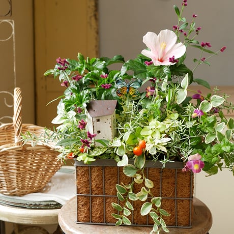 【FOUR SEASONSスクール】8/24(土)Green life Zoom webinars ワークショップ　無料視聴+花材セット