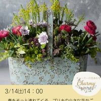 【FOUR SEASONSスクール】3/14(土)Green life Zoom webinars ワークショップ　無料視聴+花材セット
