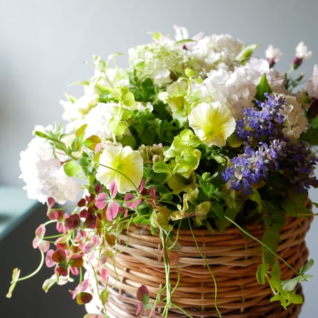 【FOUR SEASONSスクール】5/7(水)Green life Zoom webinars ワークショップ　無料視聴+花材セット