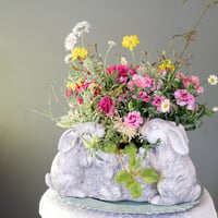 【FOUR SEASONSスクール】4/26(土)Green life Zoom webinars ワークショップ　無料視聴+花材セット