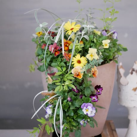 【FOUR SEASONSスクール】11/25(土)Green life Zoom webinars ワークショップ　無料視聴+花材セット