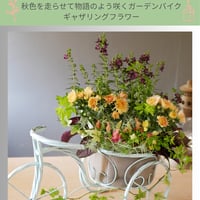 【FOUR SEASONSスクール】9/20(土)Green life Zoom webinars ワークショップ　無料視聴+花材セット