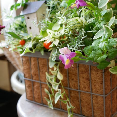 【FOUR SEASONSスクール】8/24(土)Green life Zoom webinars ワークショップ　無料視聴+花材セット