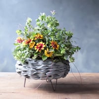 【FOUR SEASONSスクール】6/24(土)Green life Zoom webinars ワークショップ　無料視聴+花材セット