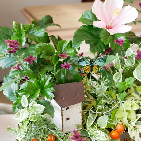 【FOUR SEASONSスクール】8/24(土)Green life Zoom webinars ワークショップ　無料視聴+花材セット