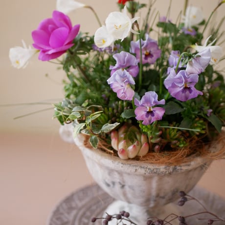 【FOUR SEASONSスクール】1/20(土)Green life Zoom webinars ワークショップ　無料視聴+花材セット