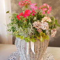 【FOUR SEASONSスクール】5/23(土)Green life Zoom webinars ワークショップ　無料視聴+花材セット